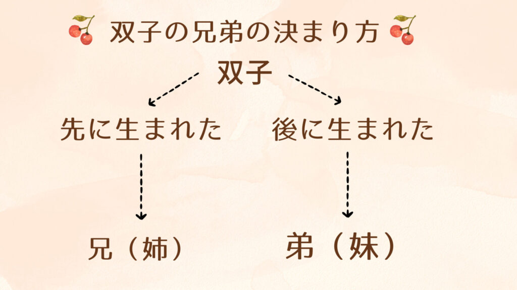 双子の兄弟の決まり方図解
